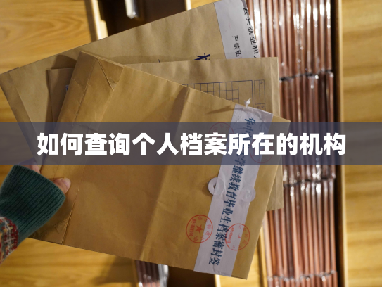 如何查询个人档案所在的机构