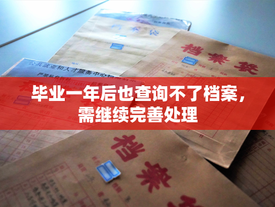 毕业一年后也查询不了档案，需继续完善处理