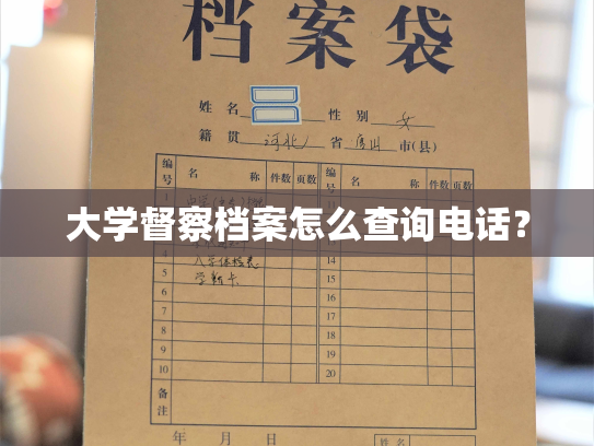 大学督察档案怎么查询电话？
