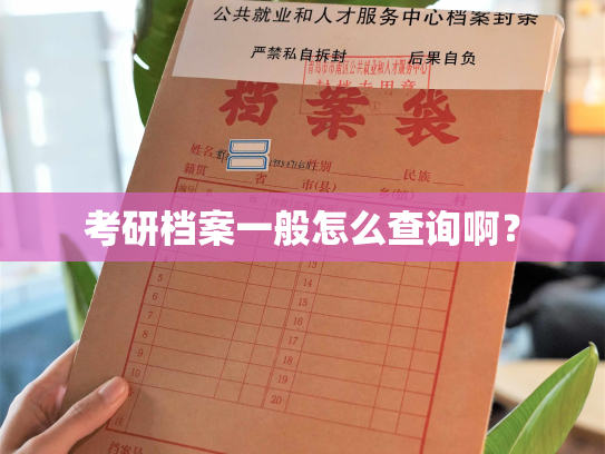 考研档案一般怎么查询啊？