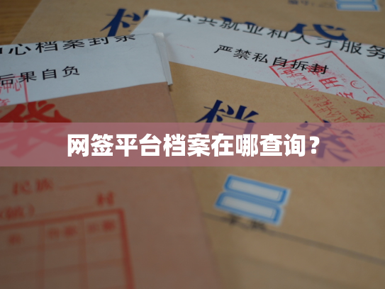 网签平台档案在哪查询？