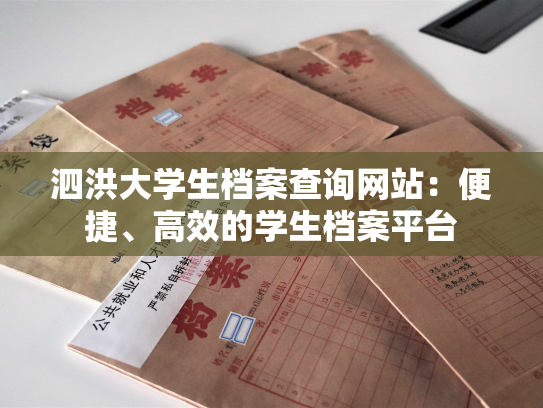 泗洪大学生档案查询网站：便捷、高效的学生档案平台