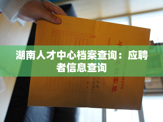 湖南人才中心档案查询：应聘者信息查询