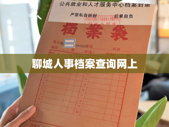 聊城人事档案查询网上