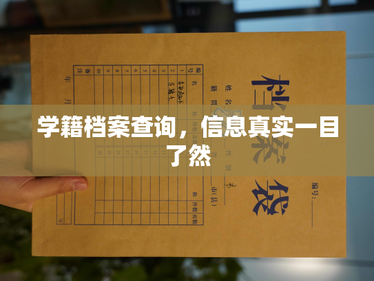 学籍档案查询，信息真实一目了然