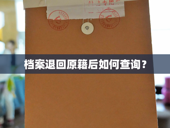 档案退回原籍后如何查询？