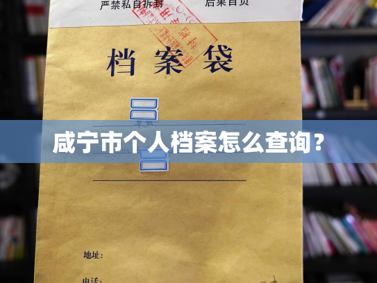 咸宁市个人档案怎么查询？