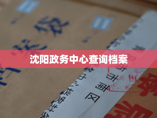 沈阳政务中心查询档案