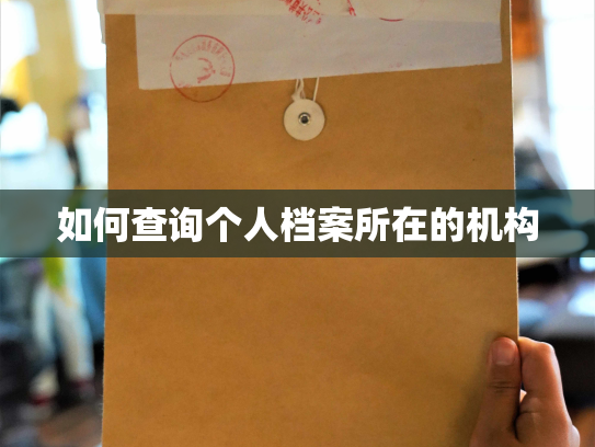 如何查询个人档案所在的机构