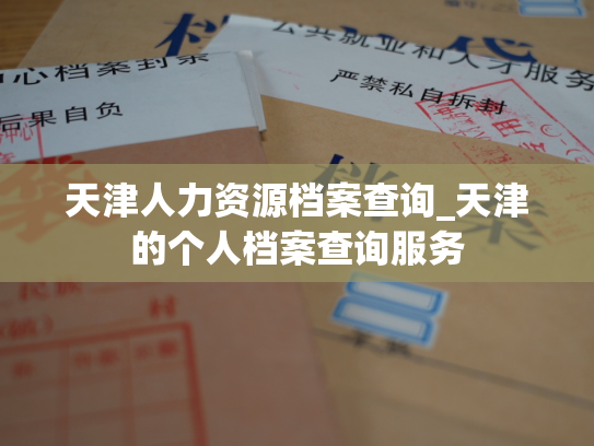 天津人力资源档案查询_天津的个人档案查询服务