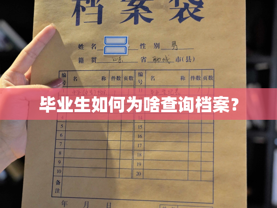 毕业生如何为啥查询档案？