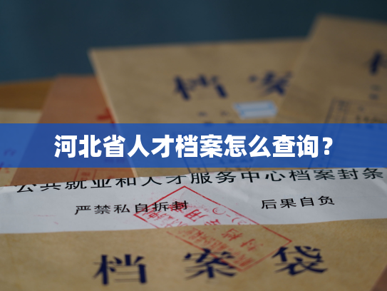 河北省人才档案怎么查询？