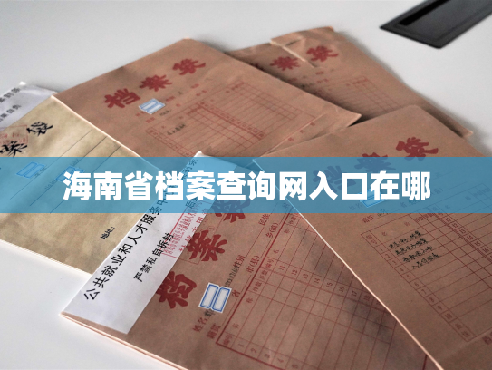 海南省档案查询网入口在哪