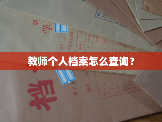 教师个人档案怎么查询？