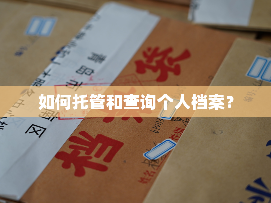如何托管和查询个人档案？