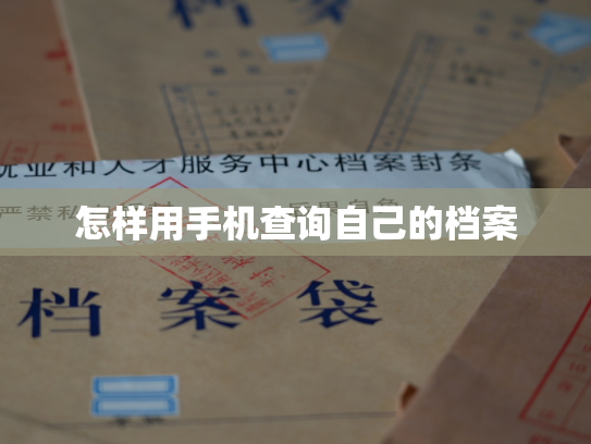 怎样用手机查询自己的档案