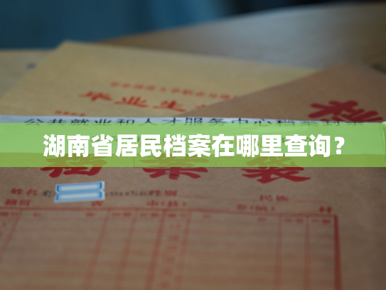 湖南省居民档案在哪里查询？