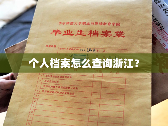 个人档案怎么查询浙江？