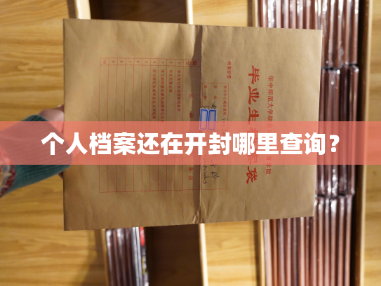 个人档案还在开封哪里查询？