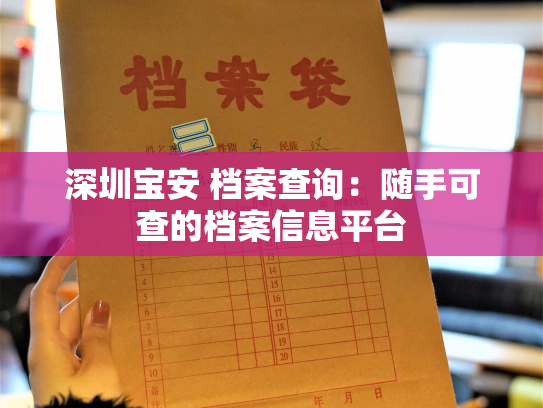 深圳宝安 档案查询：随手可查的档案信息平台