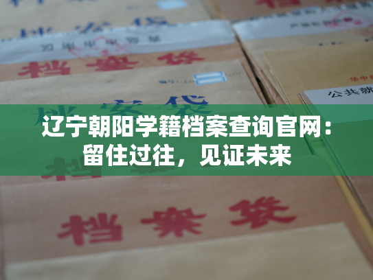 辽宁朝阳学籍档案查询官网：留住过往，见证未来