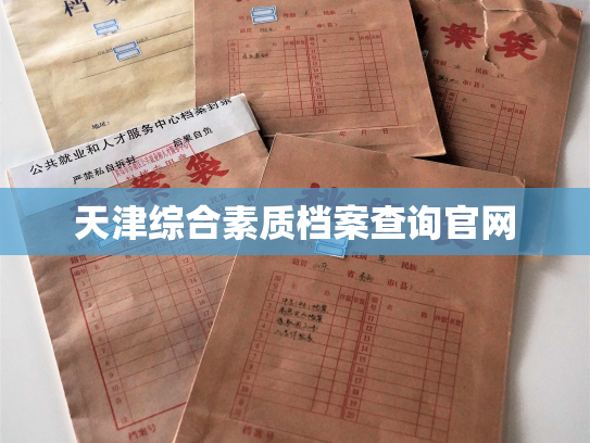 天津综合素质档案查询官网