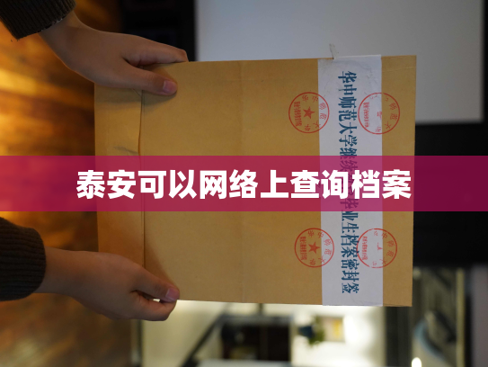 泰安可以网络上查询档案