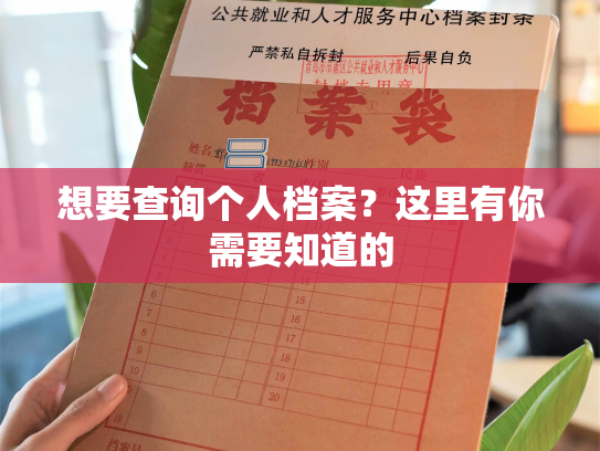 想要查询个人档案？这里有你需要知道的
