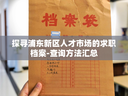 探寻浦东新区人才市场的求职档案-查询方法汇总