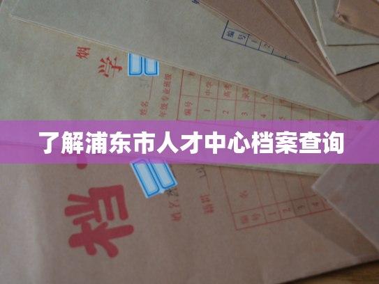 了解浦东市人才中心档案查询