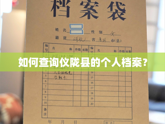 如何查询仪陇县的个人档案？