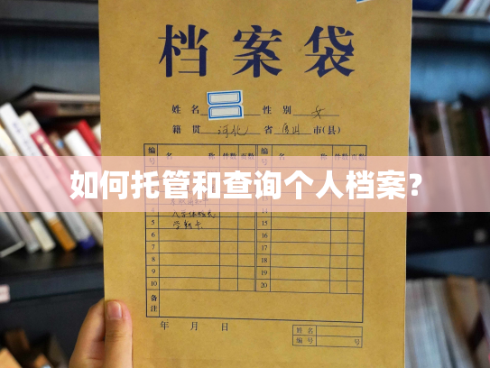 如何托管和查询个人档案？