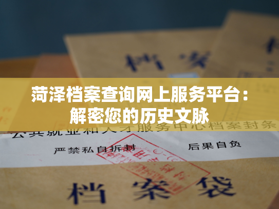 菏泽档案查询网上服务平台：解密您的历史文脉
