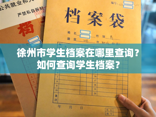 徐州市学生档案在哪里查询？如何查询学生档案？
