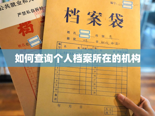 如何查询个人档案所在的机构