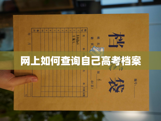网上如何查询自己高考档案