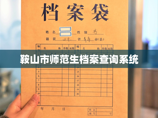 鞍山市师范生档案查询系统
