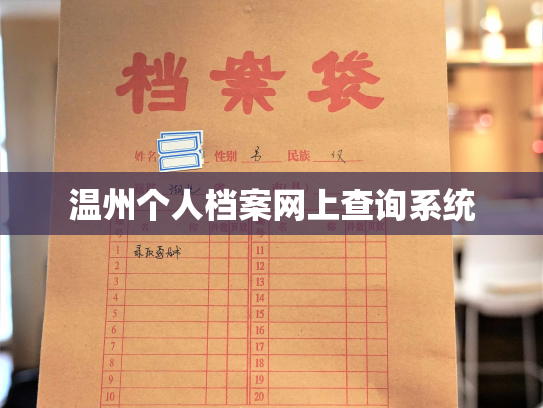 温州个人档案网上查询系统