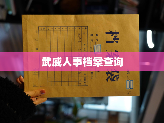 武威人事档案查询
