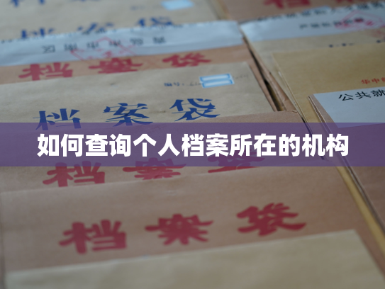 如何查询个人档案所在的机构