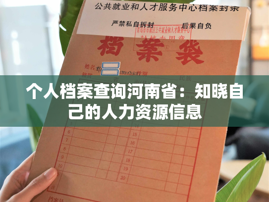 个人档案查询河南省：知晓自己的人力资源信息