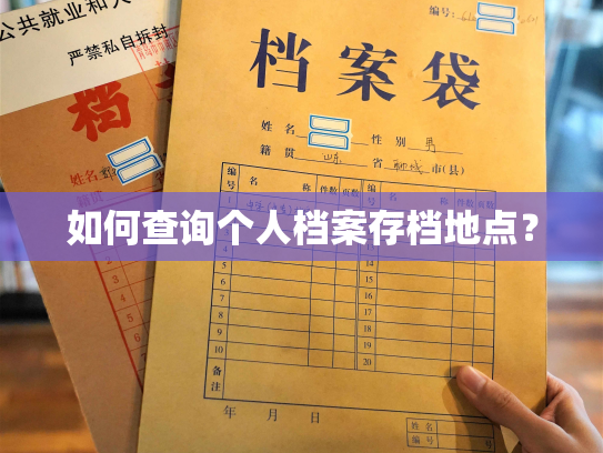如何查询个人档案存档地点？