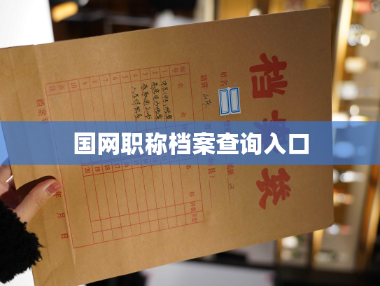 国网职称档案查询入口