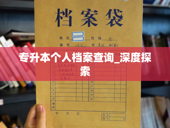 专升本个人档案查询_深度探索
