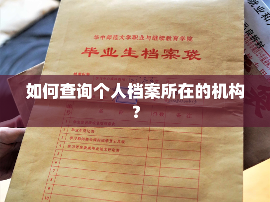 如何查询个人档案所在的机构？