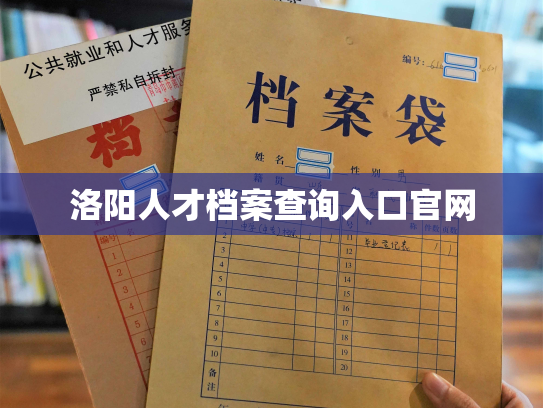 洛阳人才档案查询入口官网