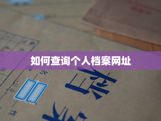 如何查询个人档案网址
