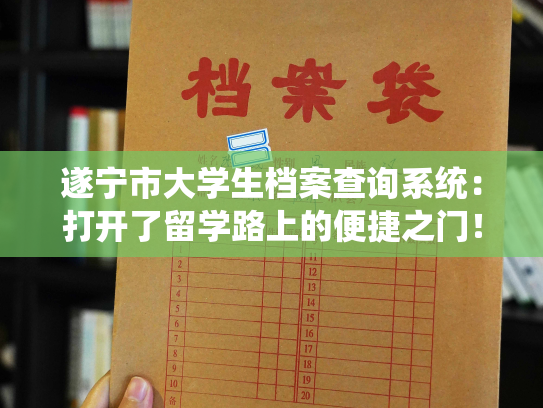 遂宁市大学生档案查询系统：打开了留学路上的便捷之门！