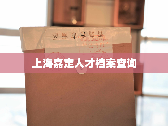上海嘉定人才档案查询