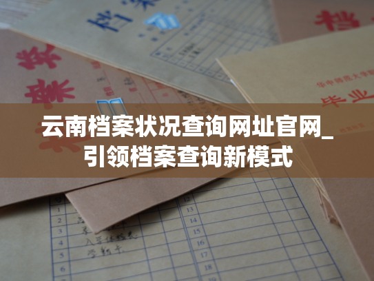 云南档案状况查询网址官网_引领档案查询新模式